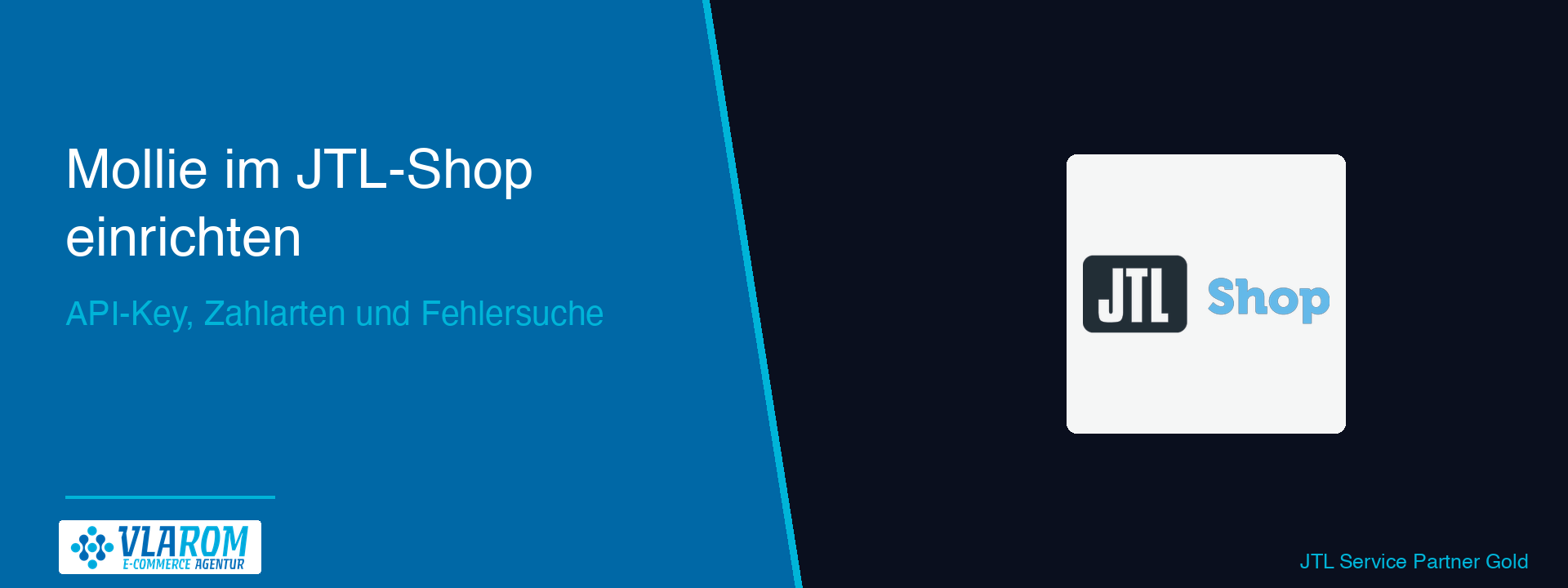 JTL-Shop-Backend mit Mollie-Plugin-Einstellungen, Mollie-Dashboard mit API-Key auf der rechten Seite